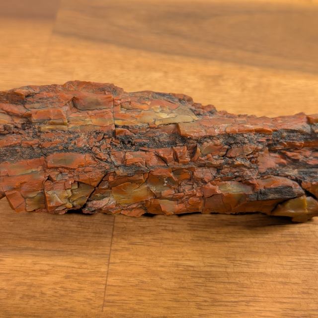 Petrified wood